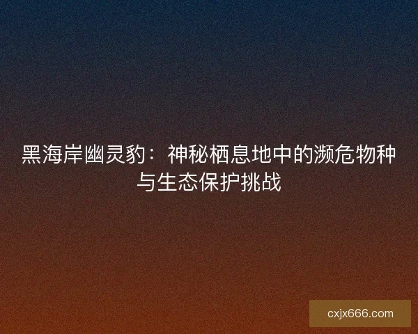 黑海岸幽灵豹：神秘栖息地中的濒危物种与生态保护挑战